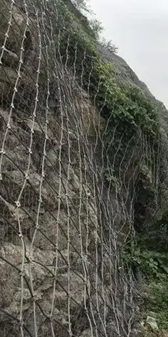 Slope Protection Net