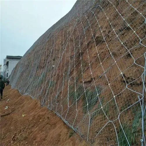 What Are The Negatives Of Gabions?